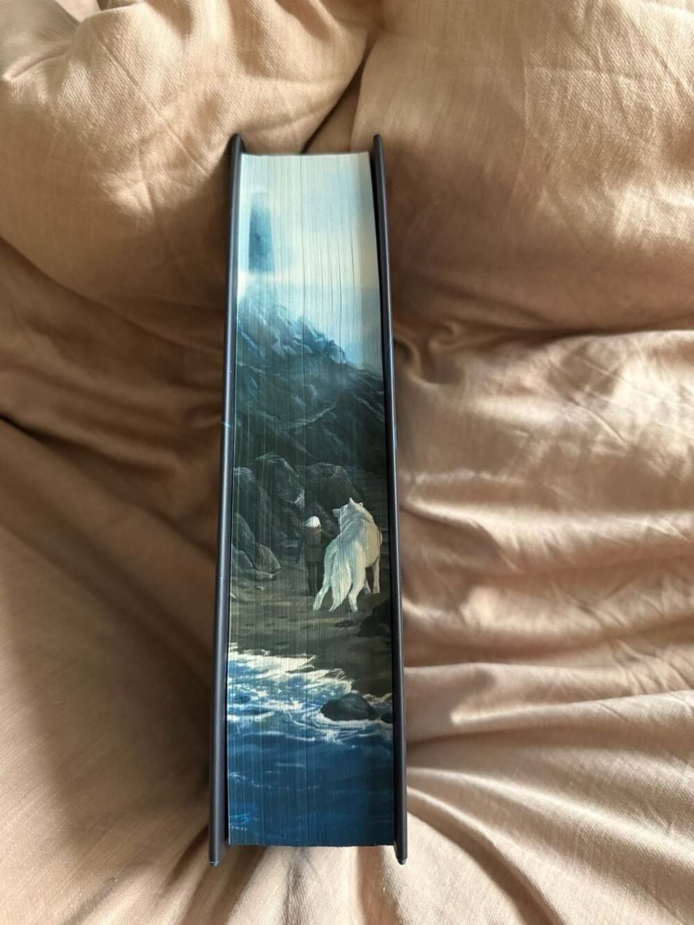Sable Sorensen Dire Bound Hardcover Special Edition - Picture 3 of 13